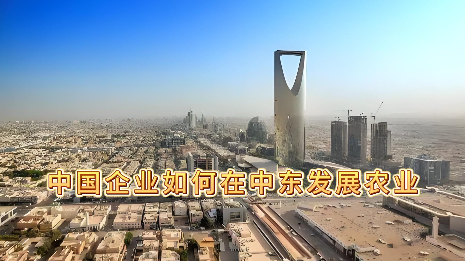 中国企业如何在中东发展农业